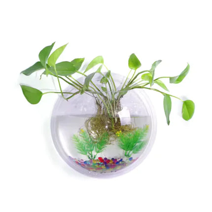 Wall-Mounted Acrylic Fish Tank
