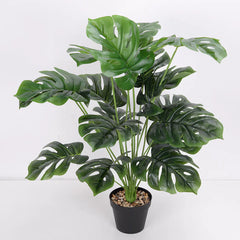 Collection image for: Home Living